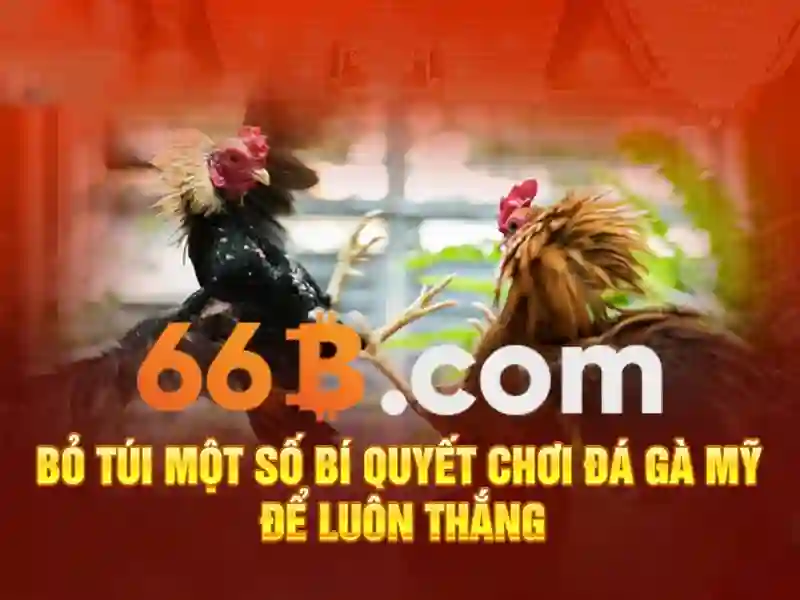 66B: Khái niệm, tham số và ứng dụng