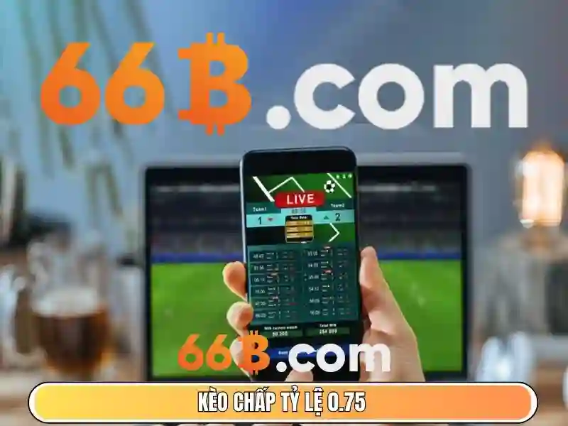 66b thuốc bắc – Hành trình thương hiệu và trải nghiệm