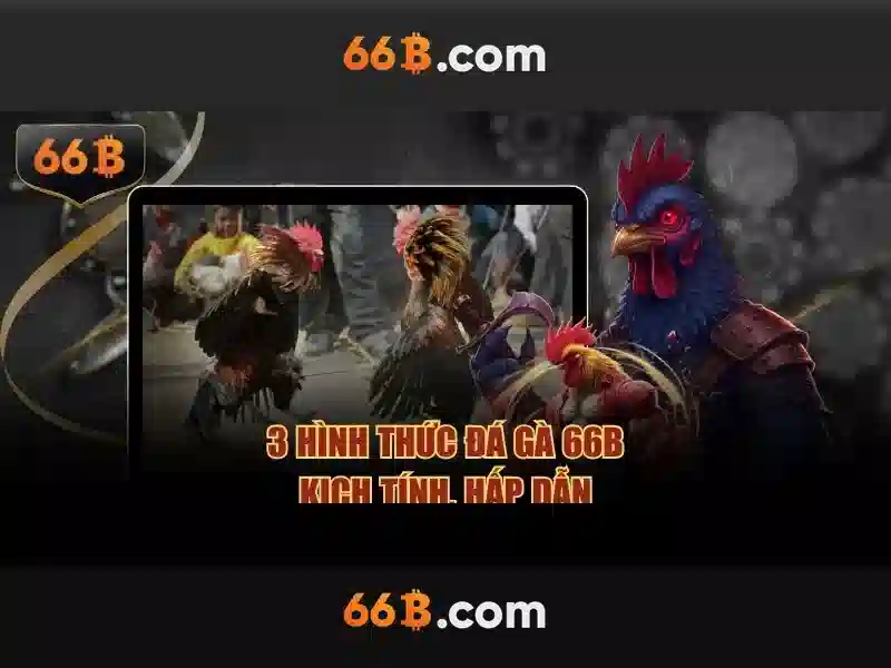 Giao diện nhà cái hoàn hảo