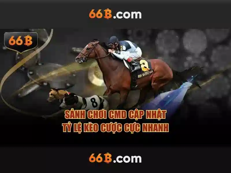 sân 66b triều khúc – Trải nghiệm và giá trị thương hiệu
