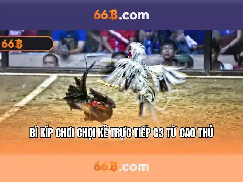 https://afaanoromoo.news/images/text/66b/66b-text2603051058.webp 66b games – Tổng quan chủ đề và giá trị cốt lõi