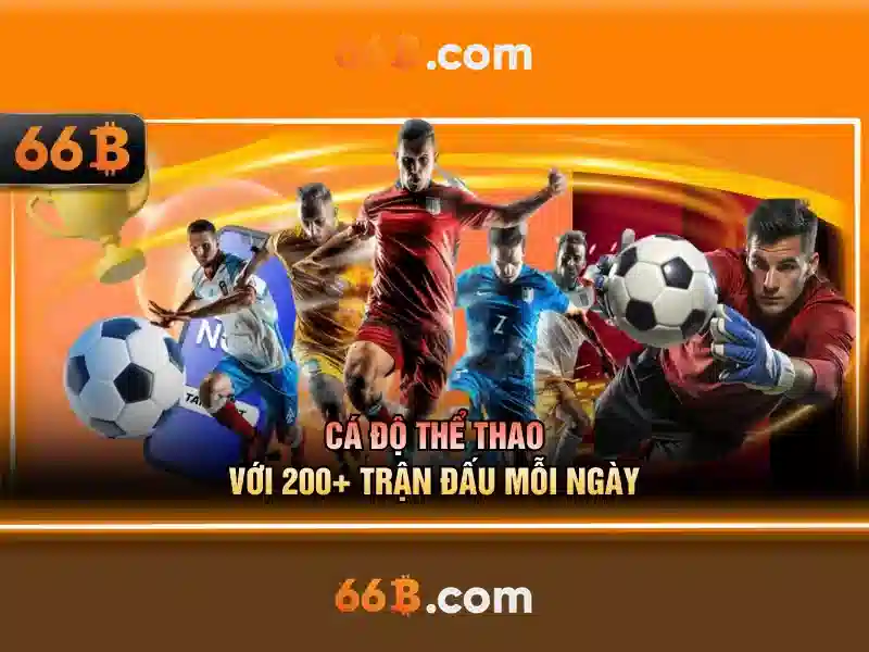 Ứng dụng và hiệu suất