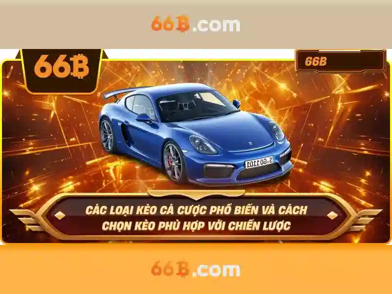 Giới thiệu về 66B