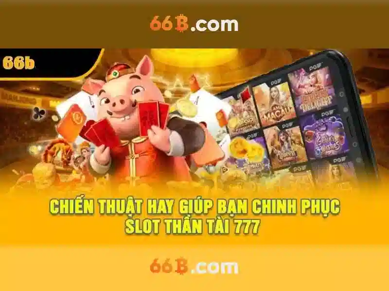 66B là gì?
