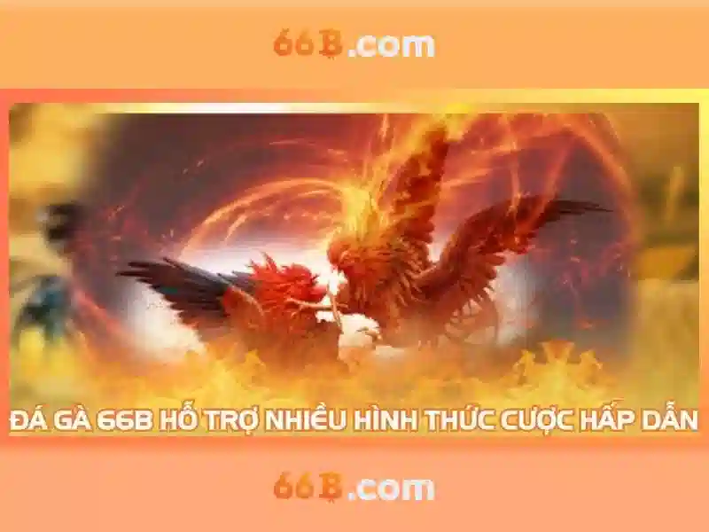 bếp từ đôi inverter tiết kiệm điện canzy cz-66b – Lựa chọn thông minh