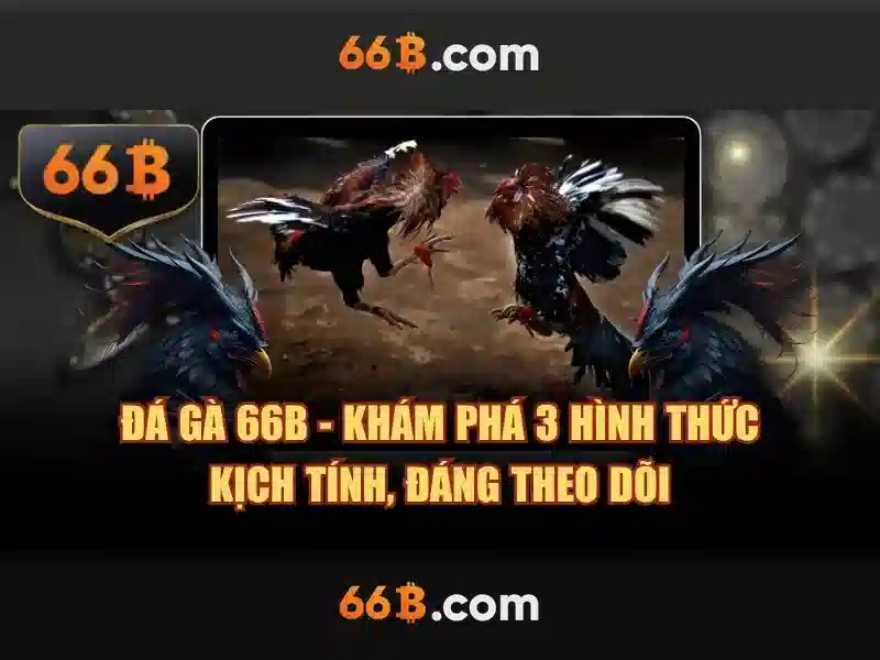 Giới thiệu về 66B