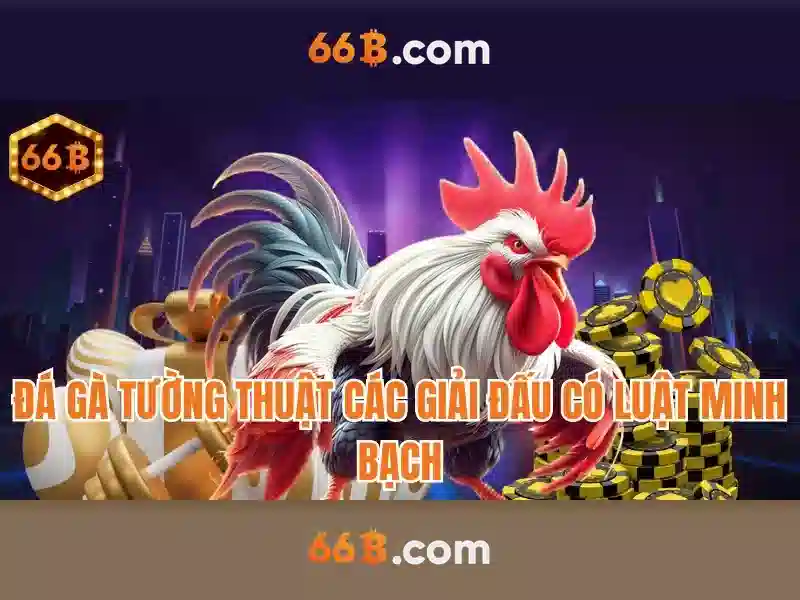 66b: Định nghĩa, ứng dụng và tiềm năng Giao diện nhà cái hoàn hảo