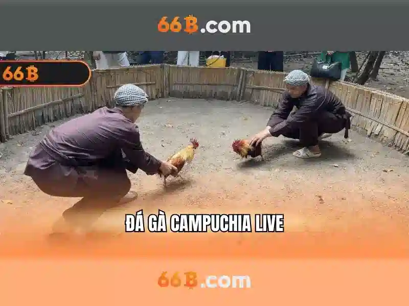 https://afaanoromoo.news/images/text/66b/66b-text2603051309.webp Khả năng và ứng dụng