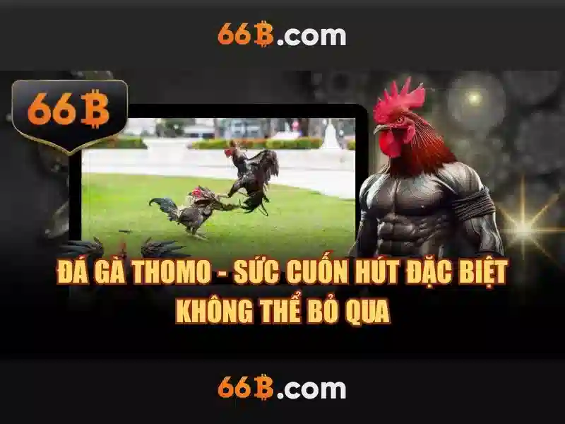 Tính chất và ý nghĩa