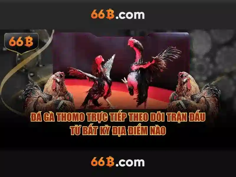 64b/66b – Tổng quan và giá trị cốt lõi