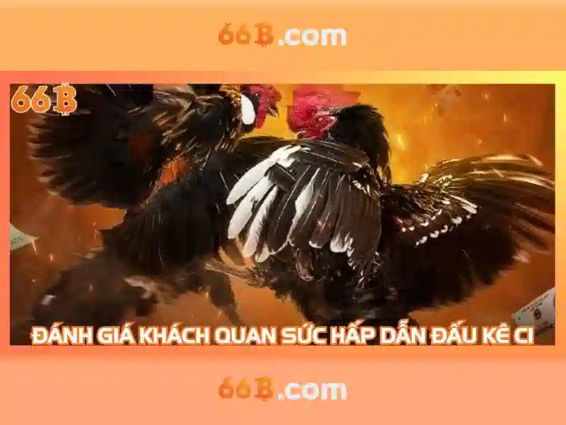 Tại sao 66B được chú ý?