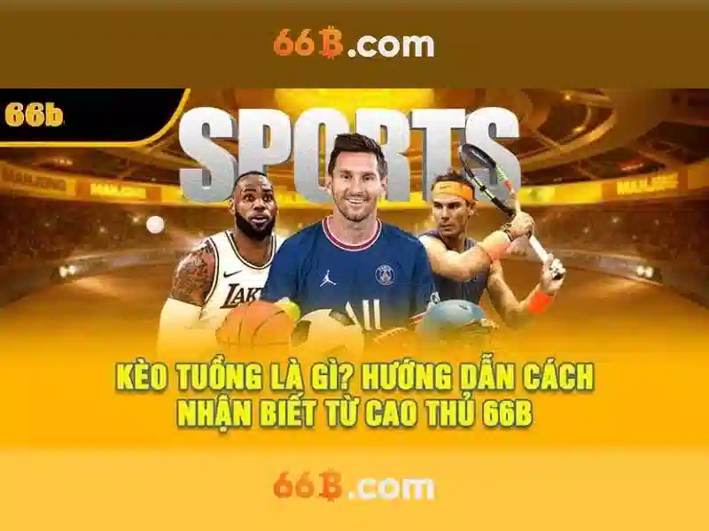 66b là gì và các ứng dụng của nó Giao diện nhà cái hoàn hảo