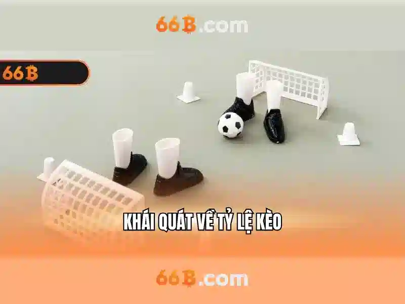 Khung kiến trúc và quy mô