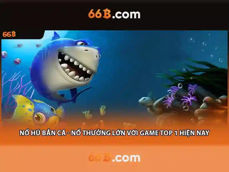 66B: Khái niệm, cấu trúc và ứng dụng