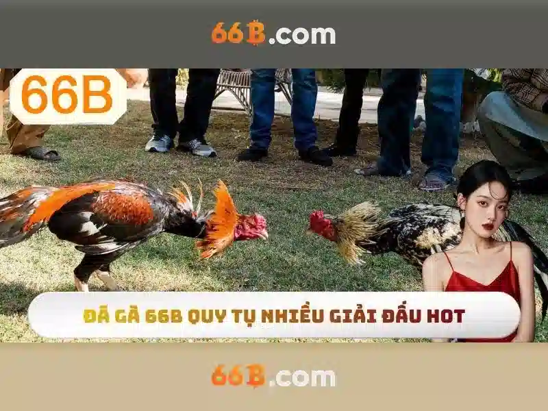 https://afaanoromoo.news/images/text/66b/66b-text487.webp 66b nguyễn sí sách – chủ đề tổng quan và giá trị cốt lõi