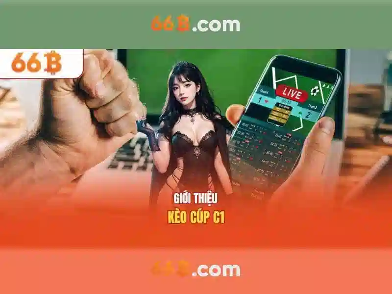 66b là gì và các ứng dụng của nó