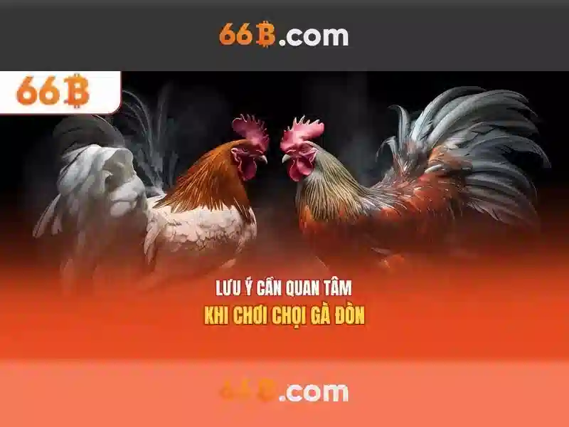 Giao diện nhà cái hoàn hảo
