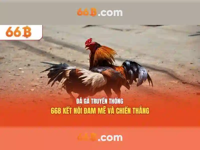 Giao diện nhà cái hoàn hảo