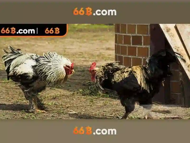 Giao diện nhà cái hoàn hảo