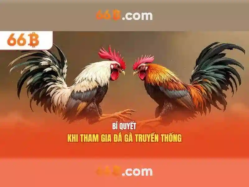66b army tổng quan và giá trị