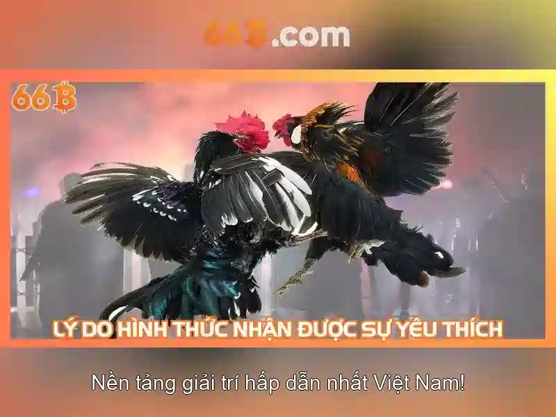 Ứng dụng và thách thức