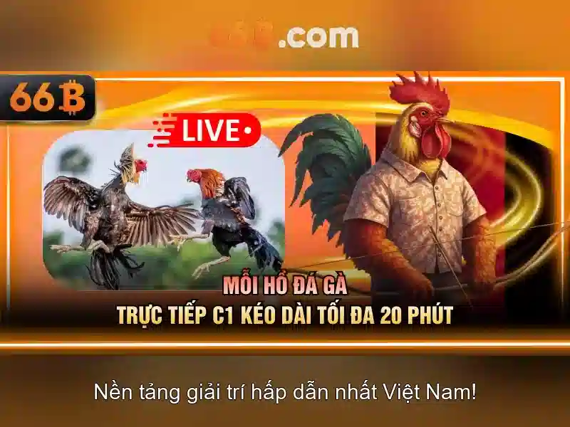 https://afaanoromoo.news/images/text/66b/66b-text527.webp Nguon goc cua 66b va y nghia