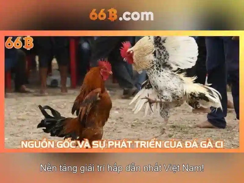 https://afaanoromoo.news/images/text/66b/66b-text260331367.webp Nguồn gốc của 66b