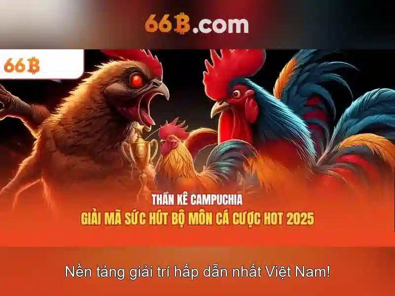 Kiến trúc và quy mô