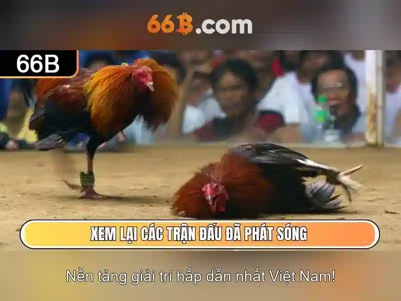 Ưu điểm và thách thức