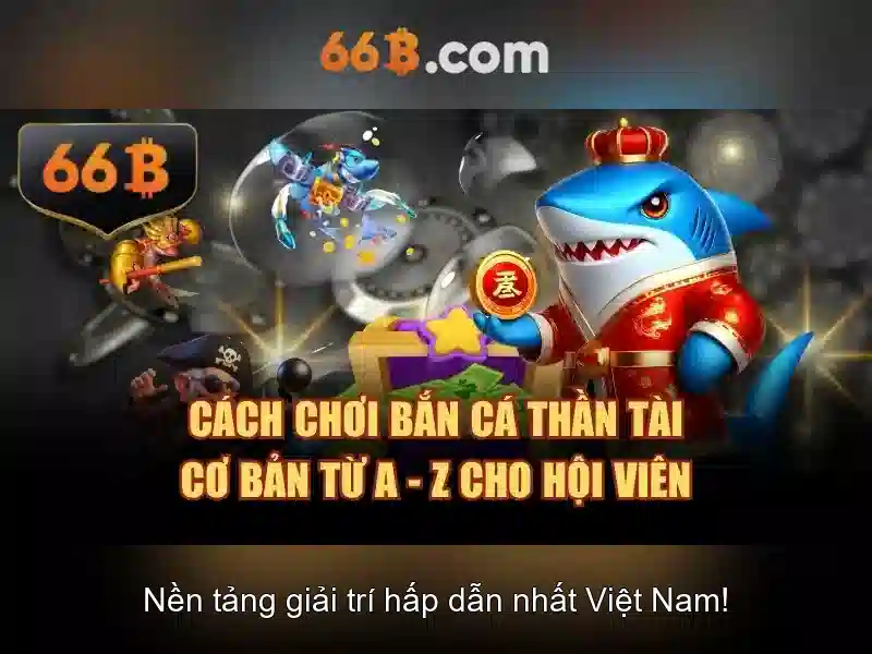 art 66b – Tổng quan chủ đề và giá trị cốt lõi