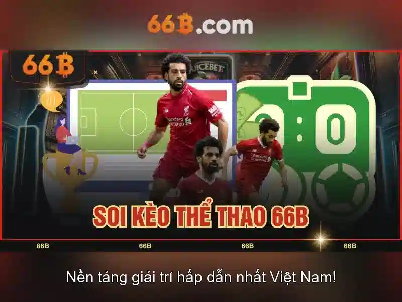 Khái niệm về 66B