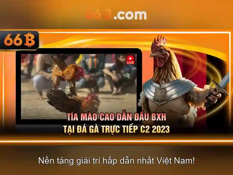 66b trong toán học và cấu trúc dữ liệu