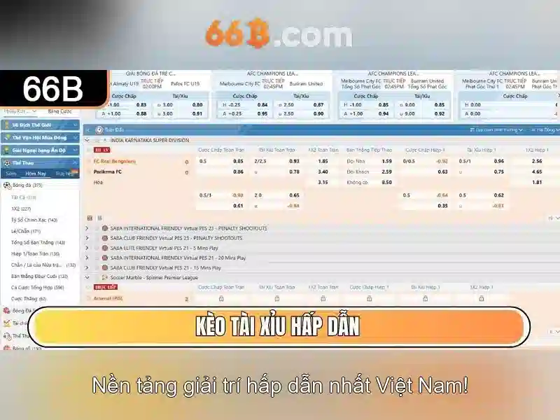 Giới thiệu về 66B