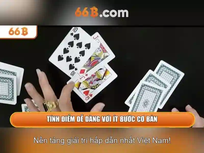 66B: Hiểu về mô hình 66 tỷ tham số và ứng dụng