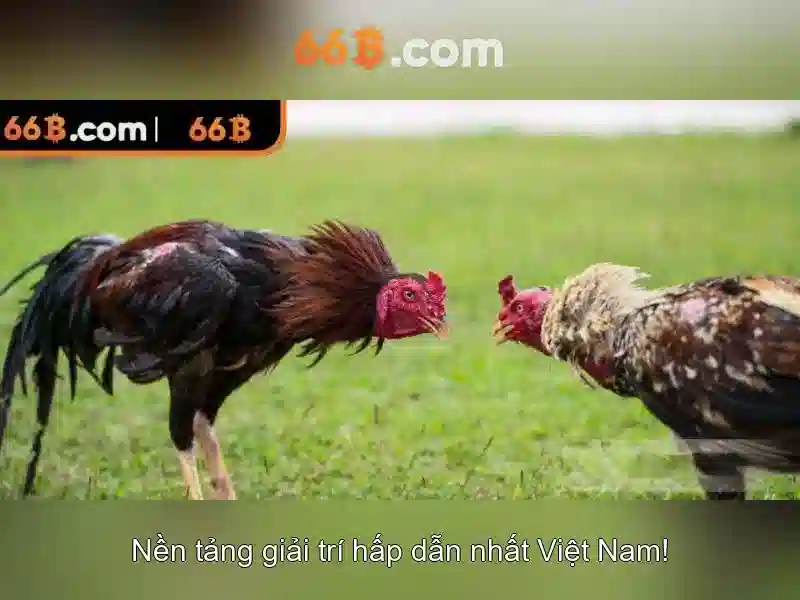Giao diện nhà cái hoàn hảo
