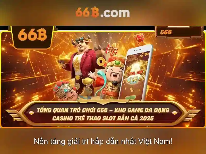 Giới thiệu về 66B