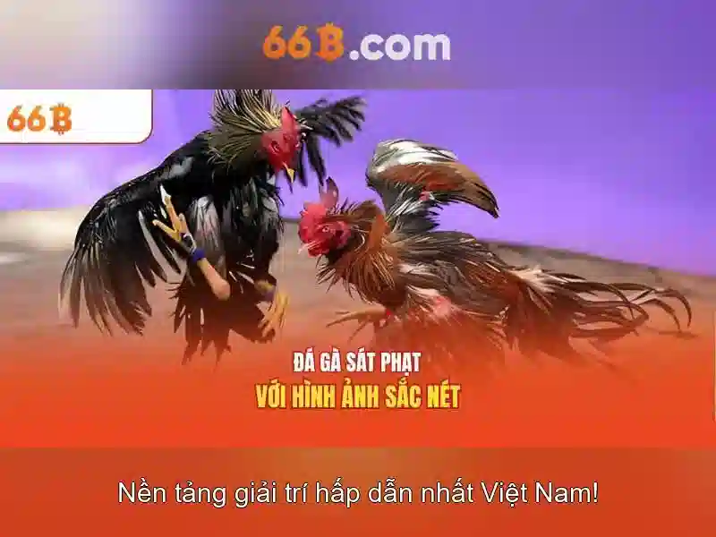 Giao diện nhà cái hoàn hảo