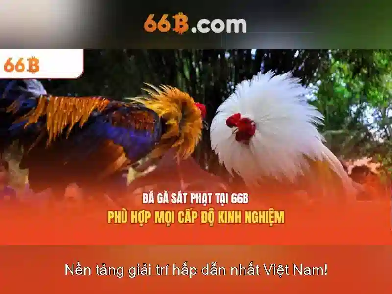 Giao diện nhà cái hoàn hảo