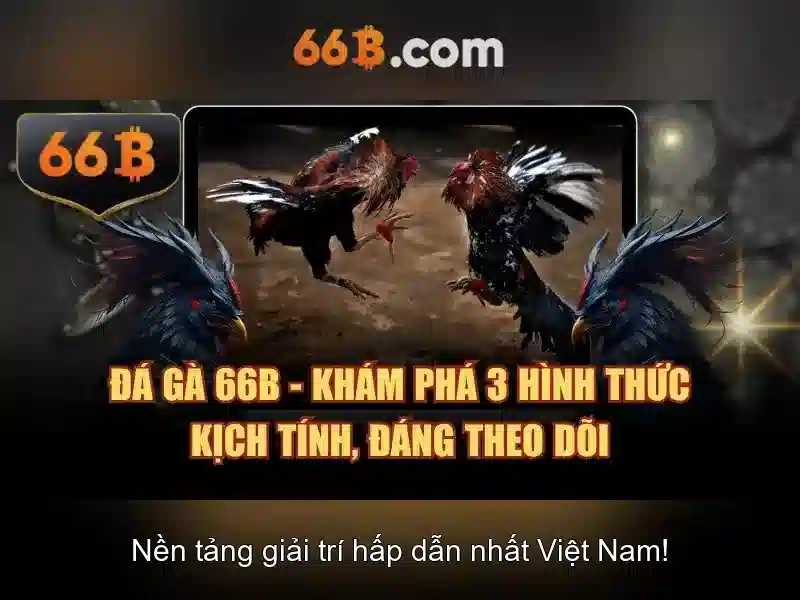 66b: một khái niệm và cuộc thảo luận