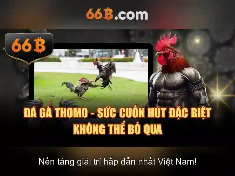 Giới thiệu về 66b