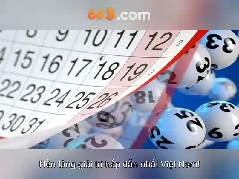 trải nghiệm người dùng và phản hồi cộng đồng