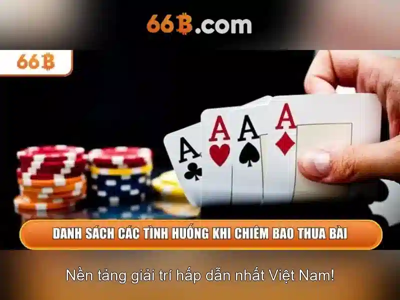 66b: một cái nhìn tổng quan