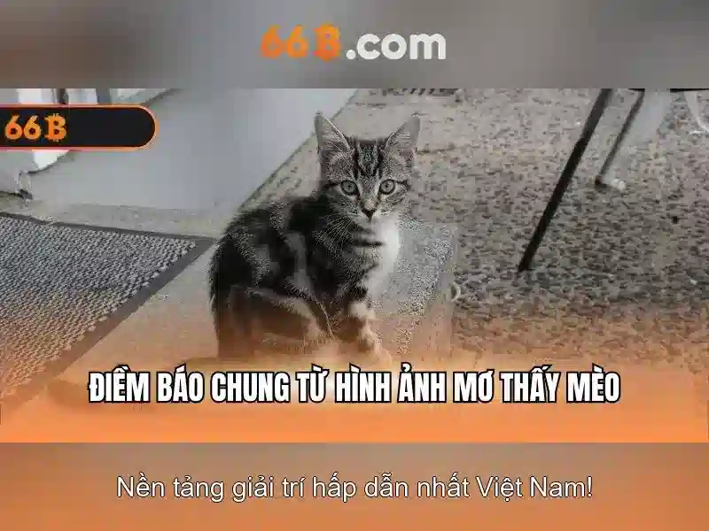 Ứng dụng của 66B