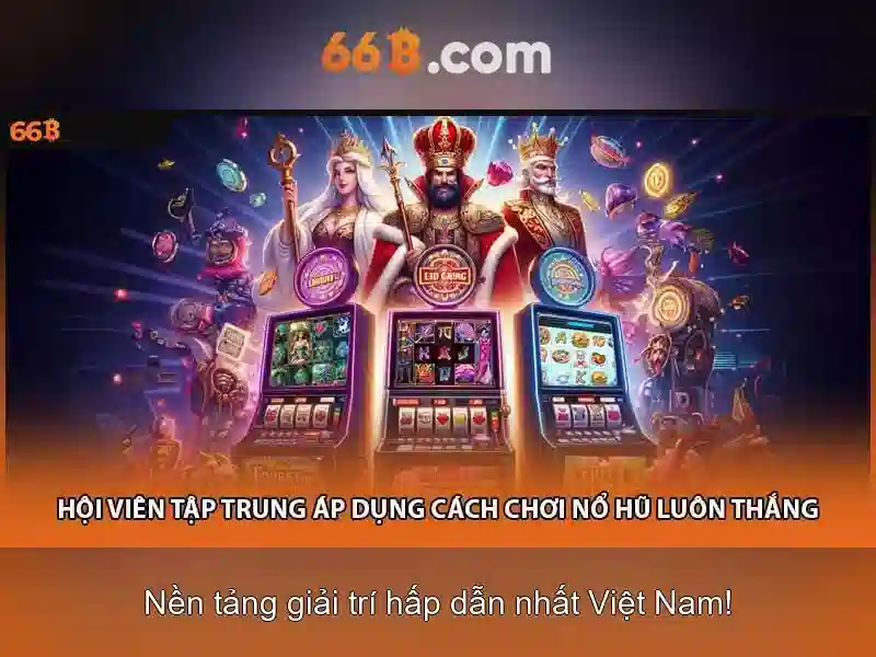 66B là gì?