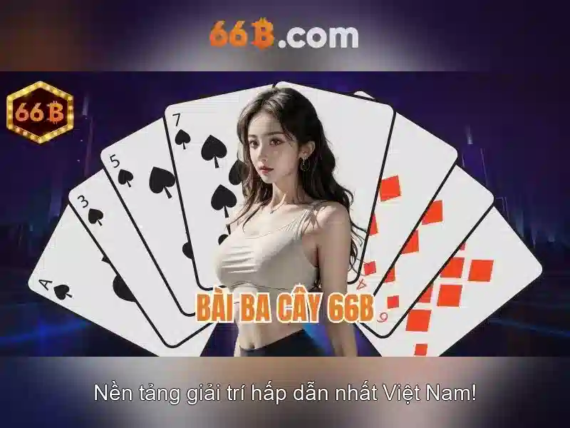 https://afaanoromoo.news/images/text/66b/66b-text260305832.webp 66B là gì