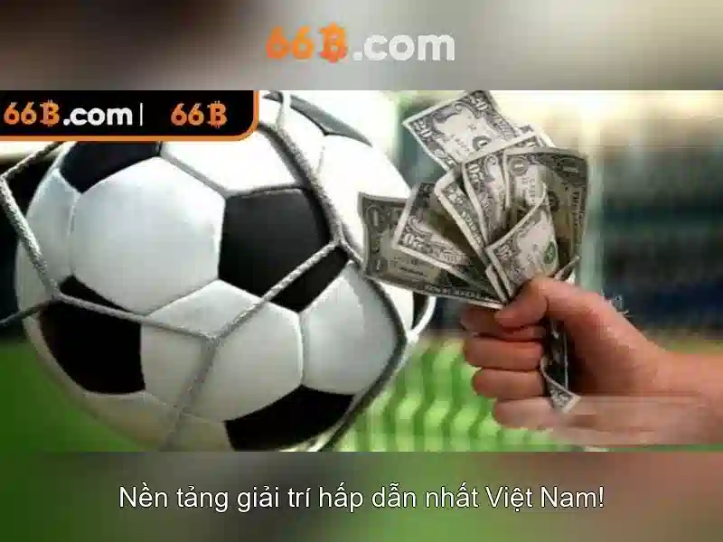 66b và hành trình khám phá