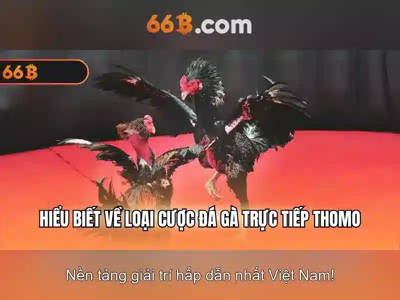 Giao diện nhà cái hoàn hảo