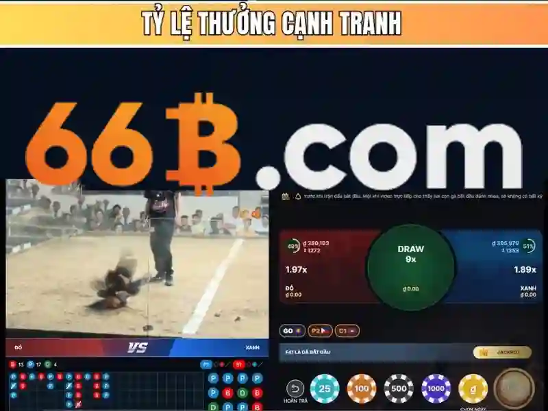 Hiệu suất và giới hạn