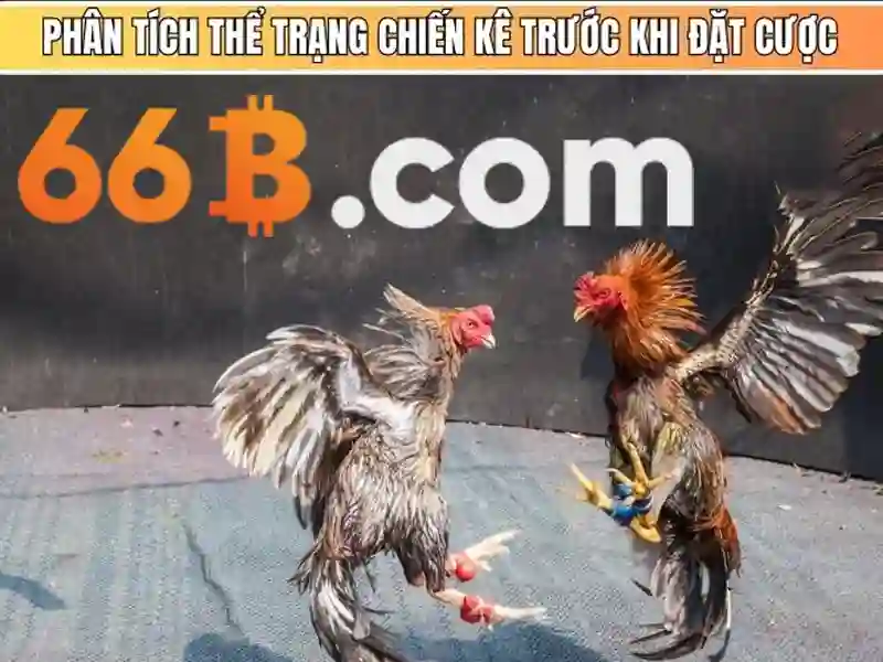 câu hỏi và trả lời câu hỏi và trả lời