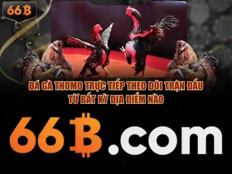 Kiến trúc và hiệu suất